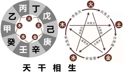 甲木 壬水|十天干與十二地支喜忌——甲木篇